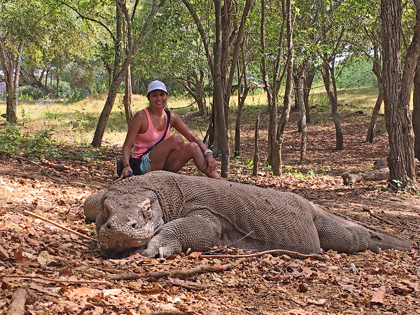 LABUAN BAJO: THE GATEWAY TO KOMODO – The Sassy Pilgrim