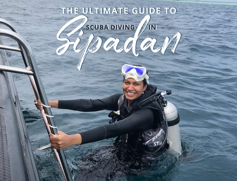 THE ULTIMATE GUIDE TO SCUBA DIVING IN SIPADAN – The Sassy Pilgrim