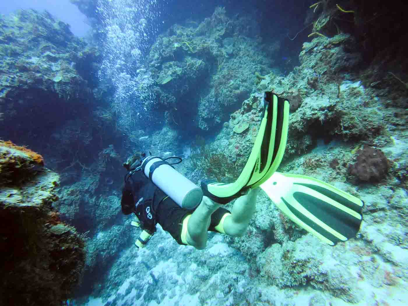 Scuba_Diving_Cozumel_Scuba_Tony_Mexico_Travel_Blogger_Indian_The_Sassy_Pilgrim_America_Quintana_Roo_Yucatan_Riviera_Maya_Adventure_