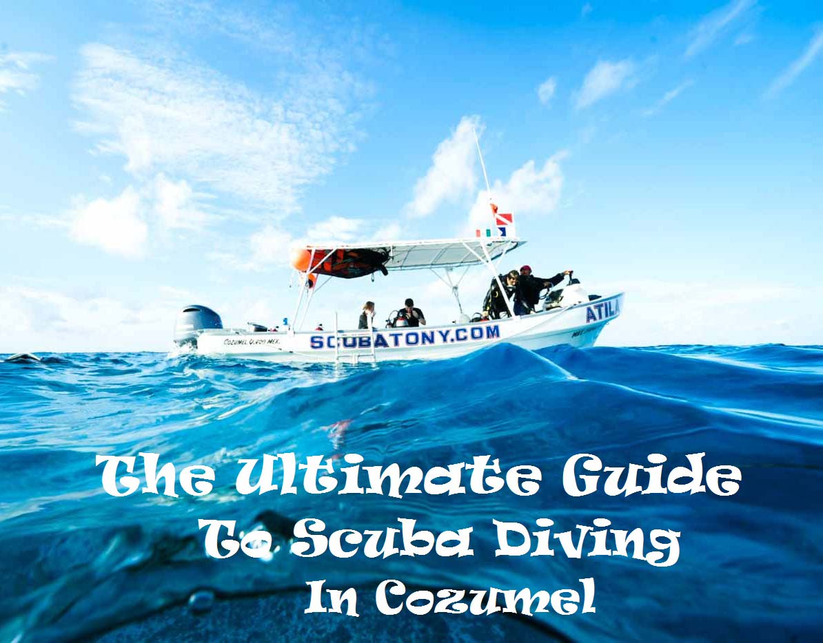 THE ULTIMATE GUIDE TO SCUBA DIVING IN COZUMEL – The Sassy Pilgrim