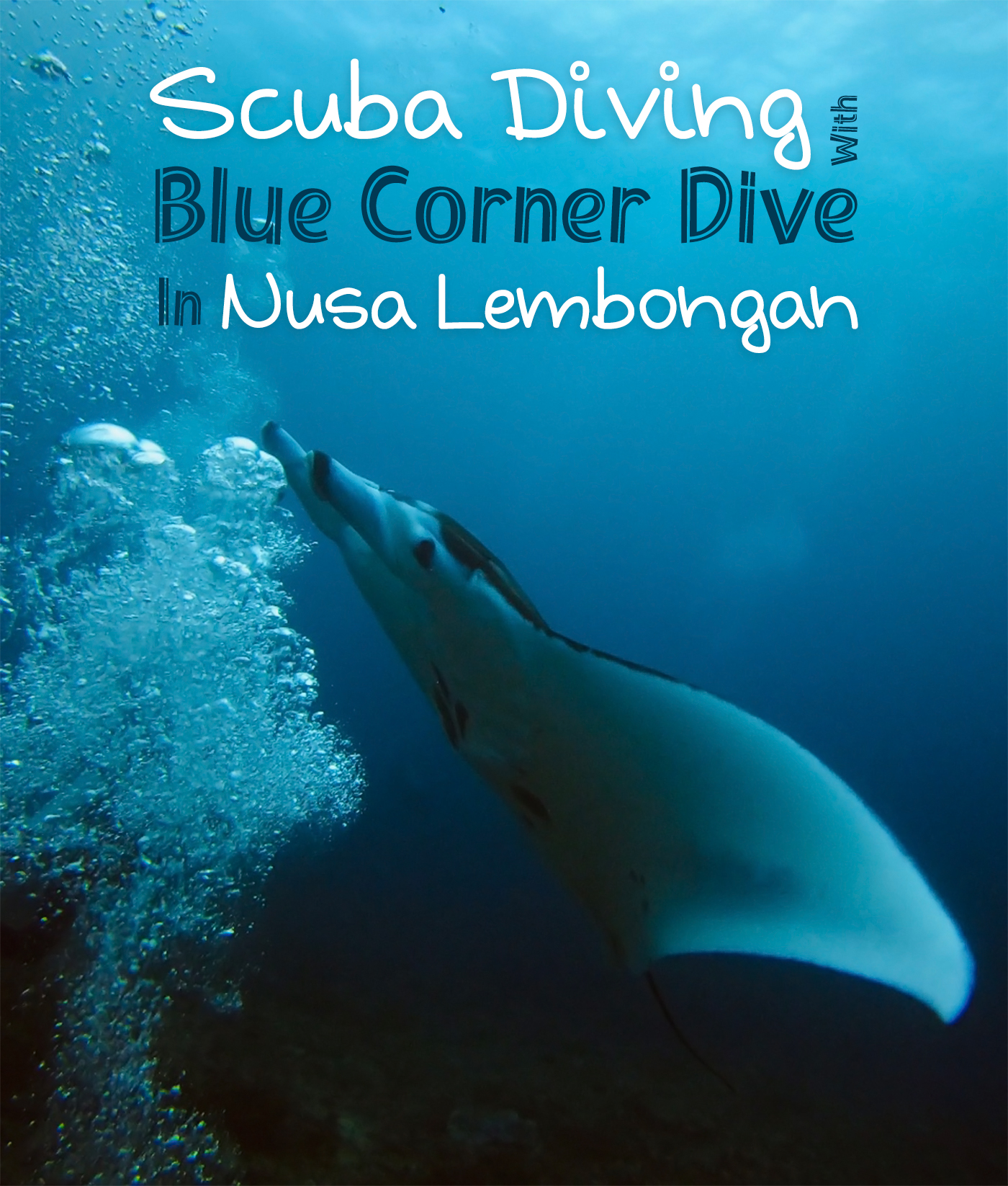 Scuba_Diving_Nusa_Lembongan_Penida_Blue_Corner_Dive_Travel_Guide_Bali_Travel_Blogger_Indian__Indonesia_Sharks_Manta_Rays_